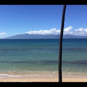 Meet your Posher, Trish